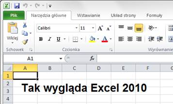 http://excelszkolenie.pl/Excel%202007/Bez%20Paniki%20to%20Tylko%20Wstazka_pliki/image006.jpg